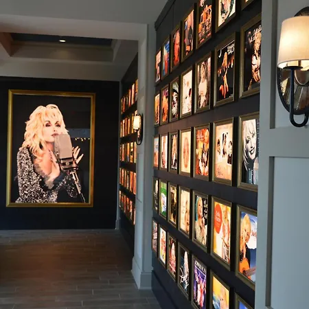 Dollywood'S Dreammore Resort And Spa-3
